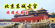 日本靠比片中国北京-东城古宫旅游风景区